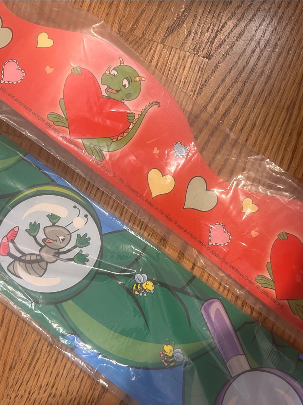 Vintage Bulletin Board Border- Insect & Magic School Bus